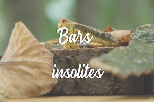 bars insolites animations