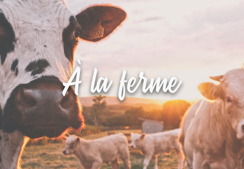 A la Ferme