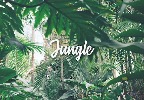 Jungle